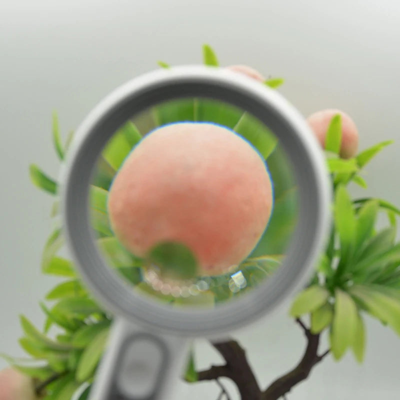 1pc Rechargeable Handheld Magnifier 3 Lighting Modes Illuminated Magnifying Glass With LED Light For Seniors Reading Repair